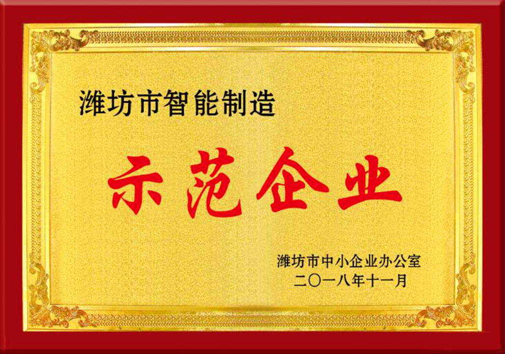 濰(wei)坊市智能制(zhì)造示範企業(ye)