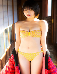再见艳阳天